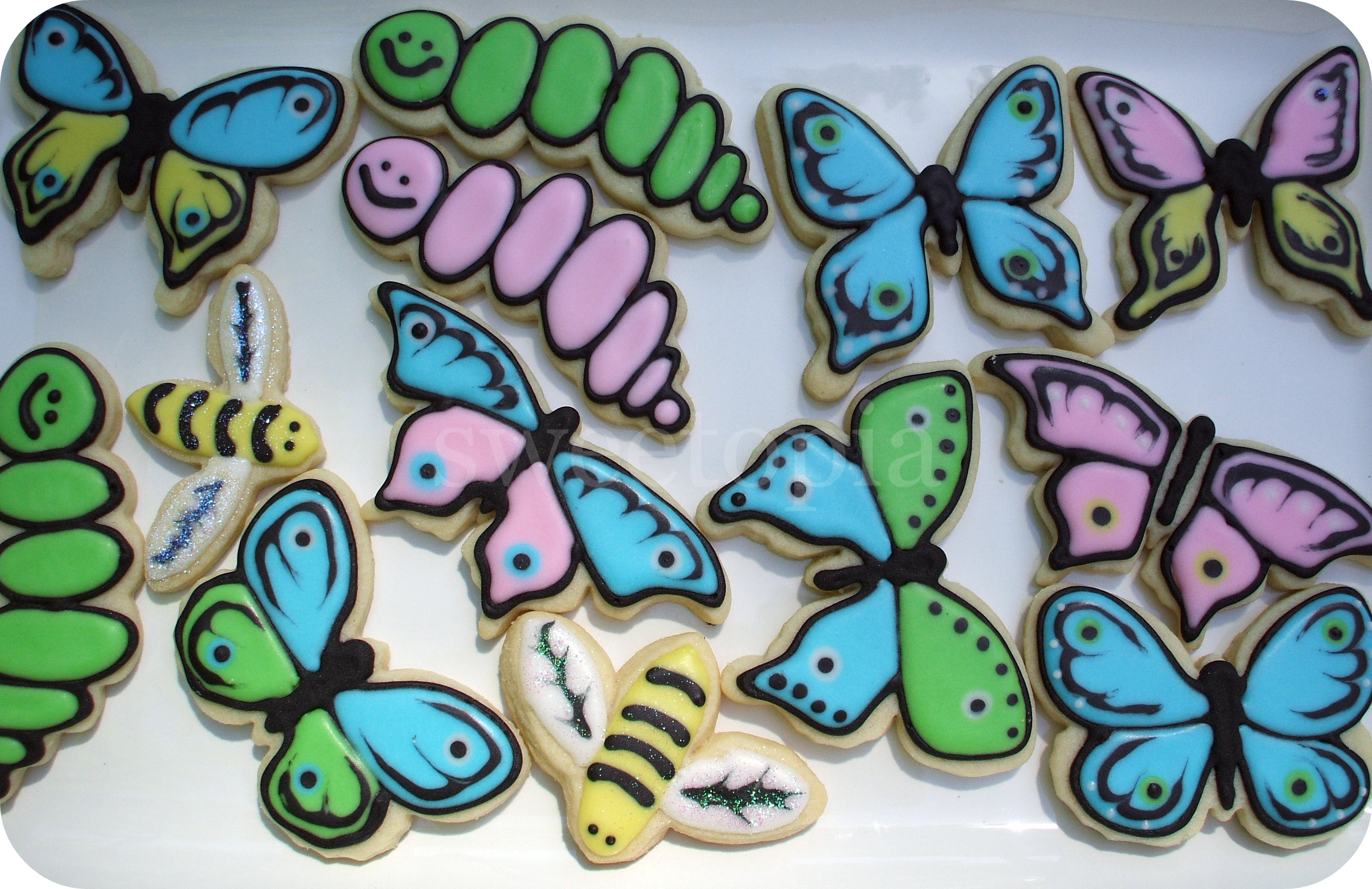 Spring Bugs