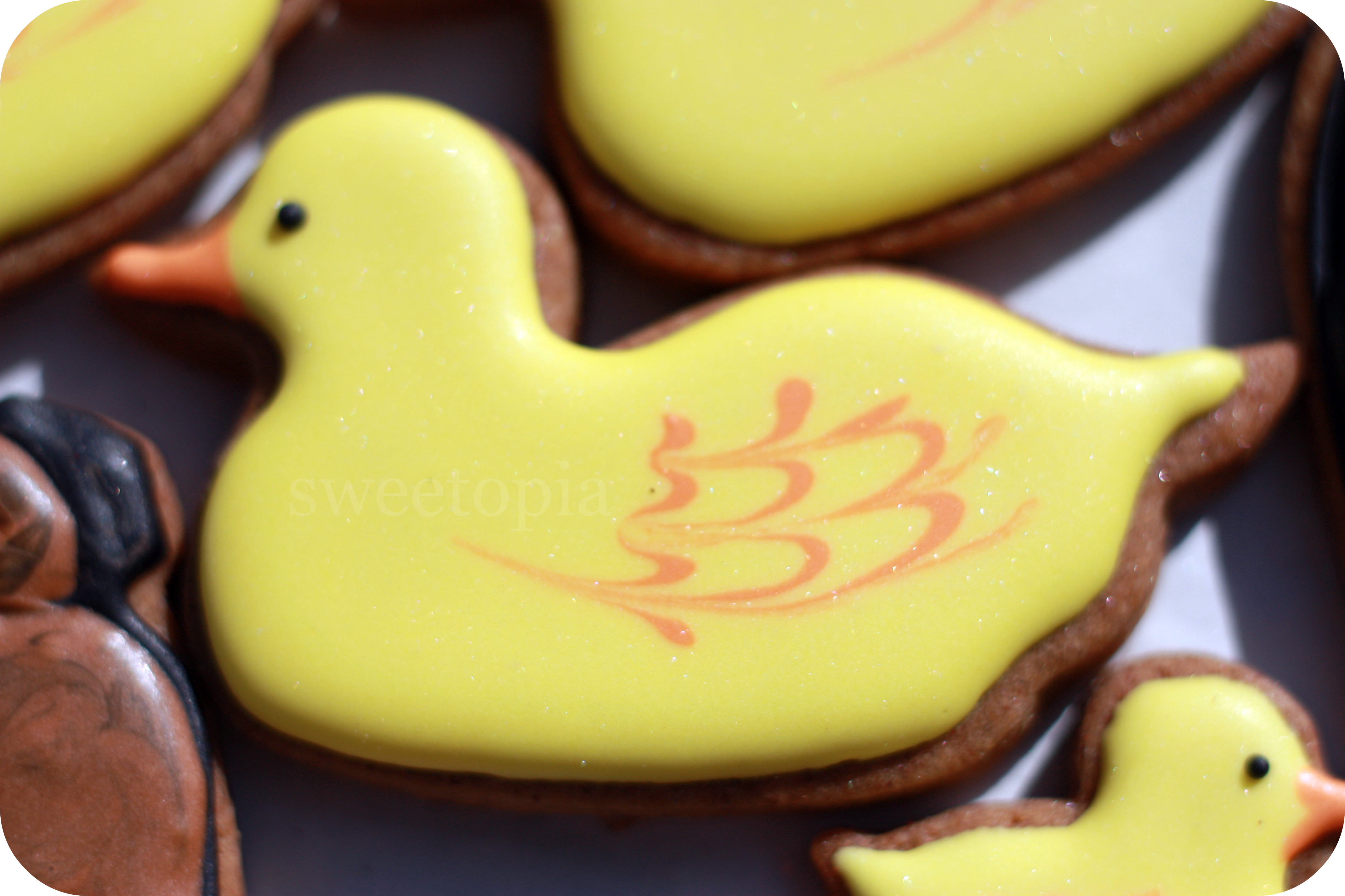 duckeroodle