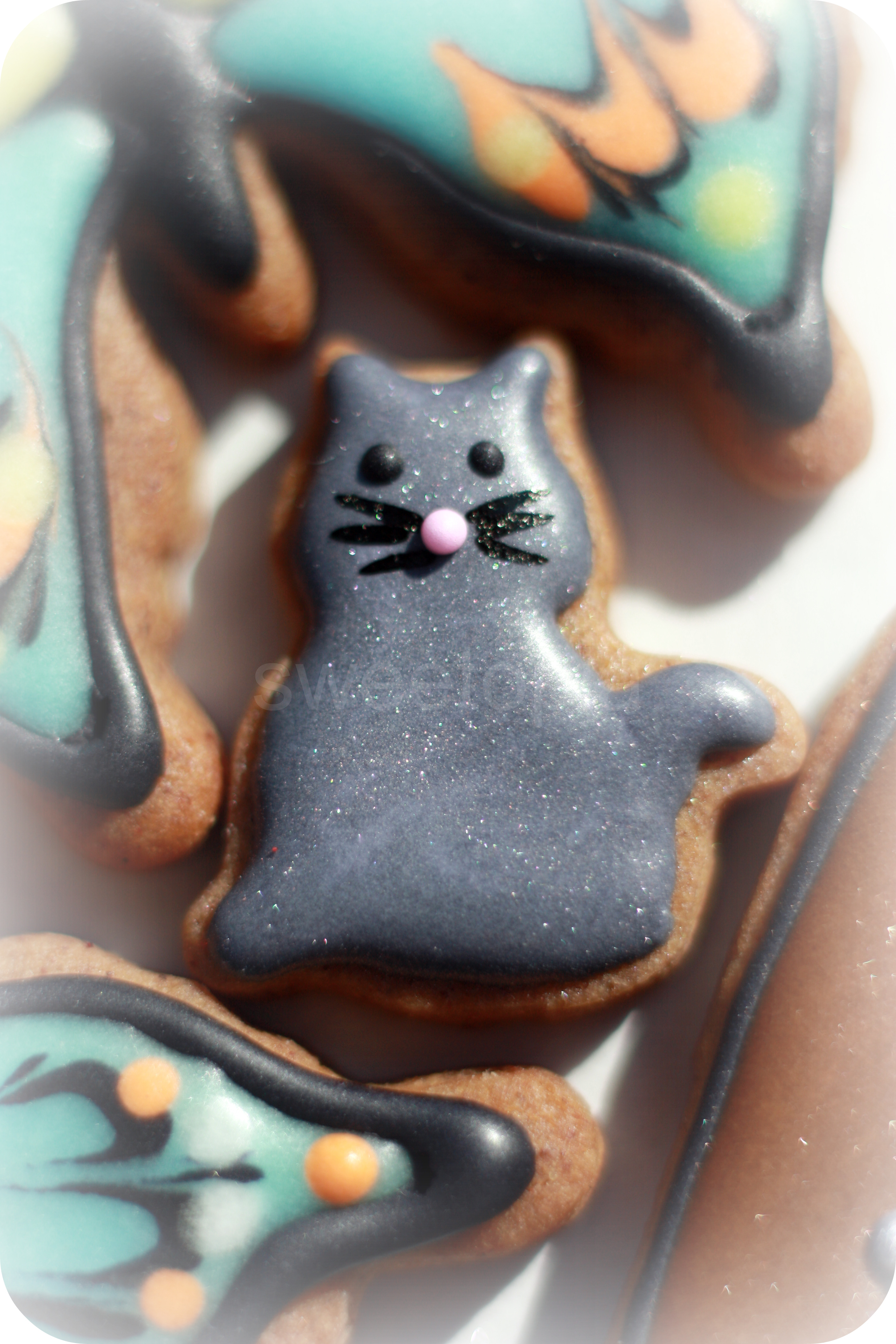 grey-cat