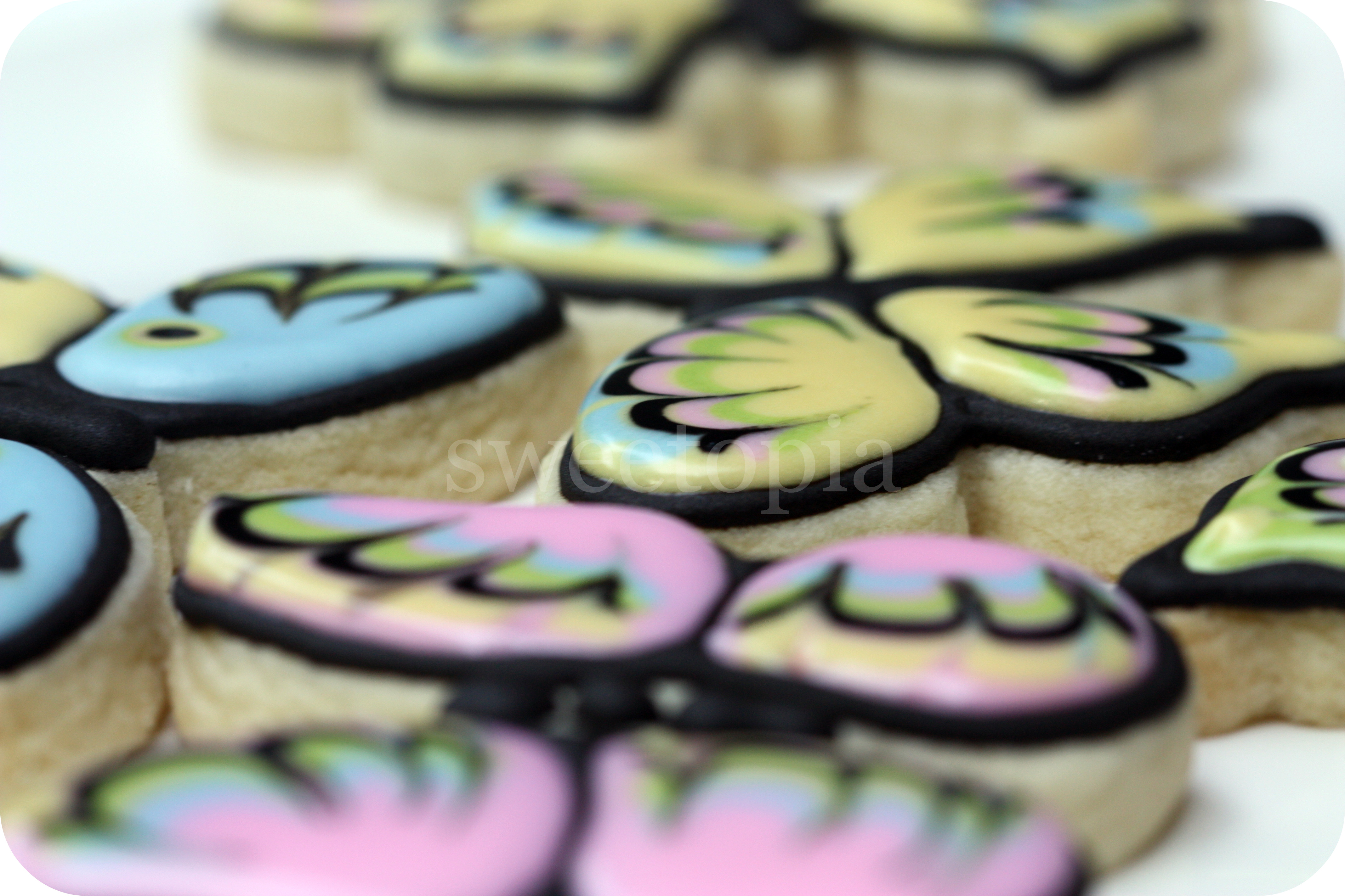 butterflies-lots-2