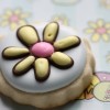 flower cookie with crater